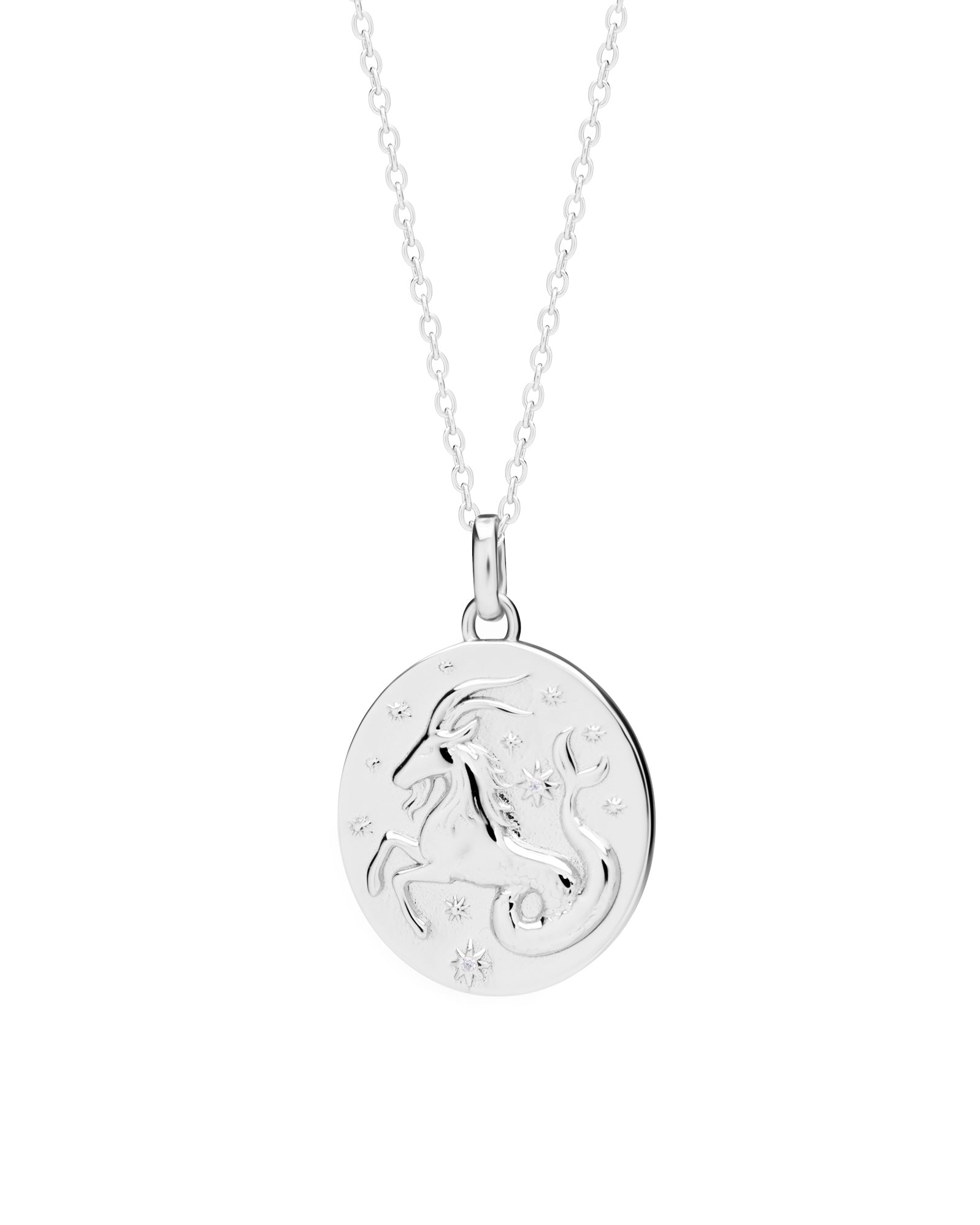 Capricorn Zodiac Necklace