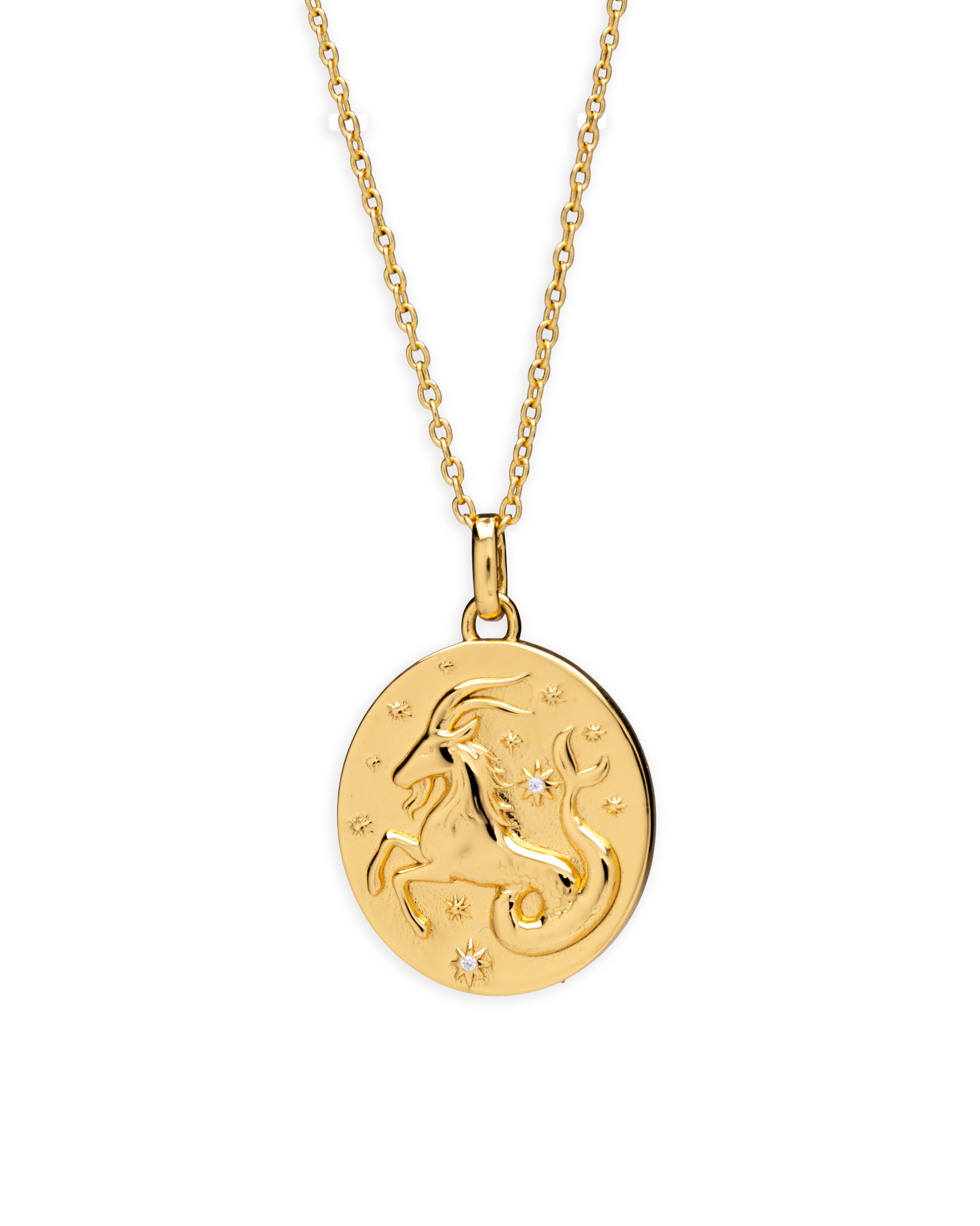 Capricorn Zodiac Necklace