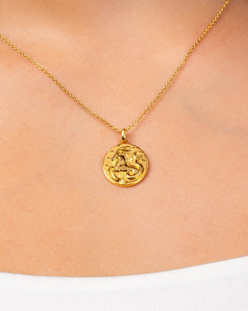 Capricorn Zodiac Necklace